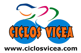 Ciclos Vicea